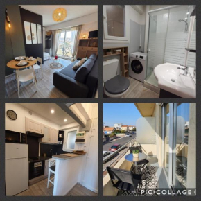 Le cosy-loc Saint cyprien plage 66